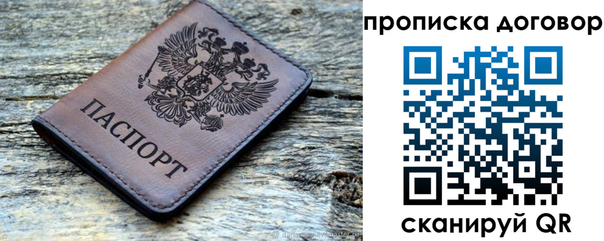 прописка в Вологде